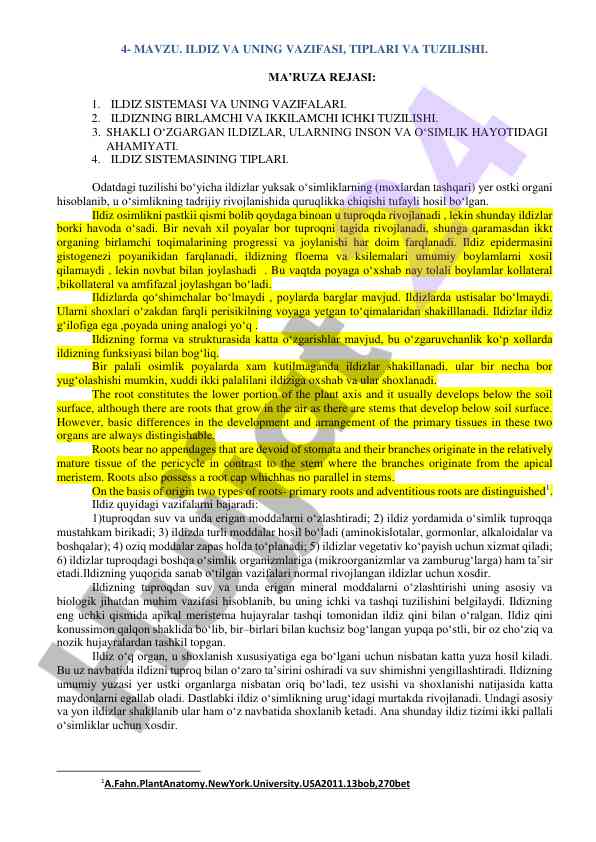 Ildiz va uning vazifasi tiplari va tuzilishi