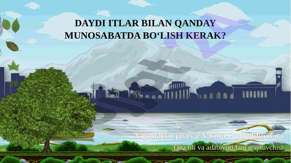 Daydi itlar bilan qanday munosabatda bo‘lish kerak