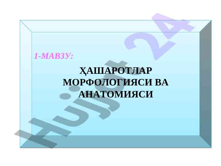 Hasharaotlar morfologiyasi va anatomiyasi
