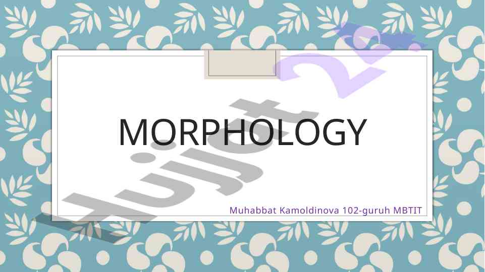 Morphology overview and inflectional morphology explanation