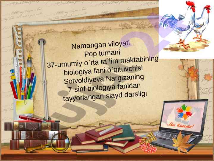 Parrandachilik xonaki parrandalar zotlarining xilma-xilligi