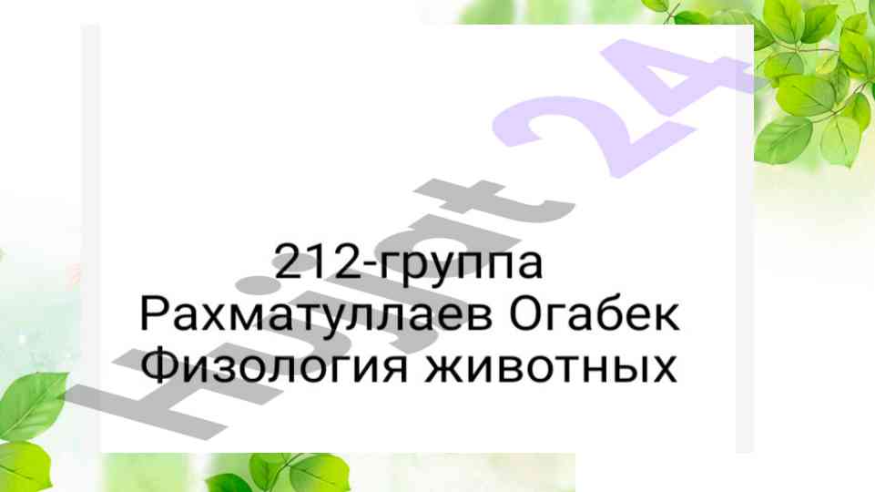 Влияние содержание и кормление животных на молоко