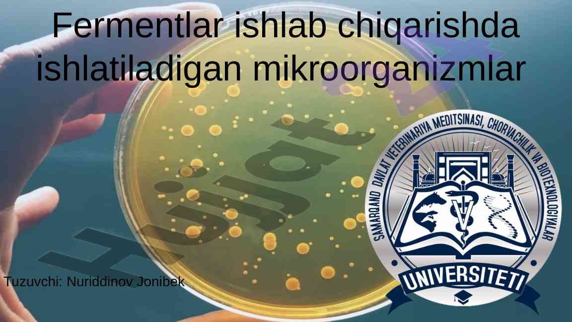 Mikroorganizmlar va ularning fermentativ faoliyati