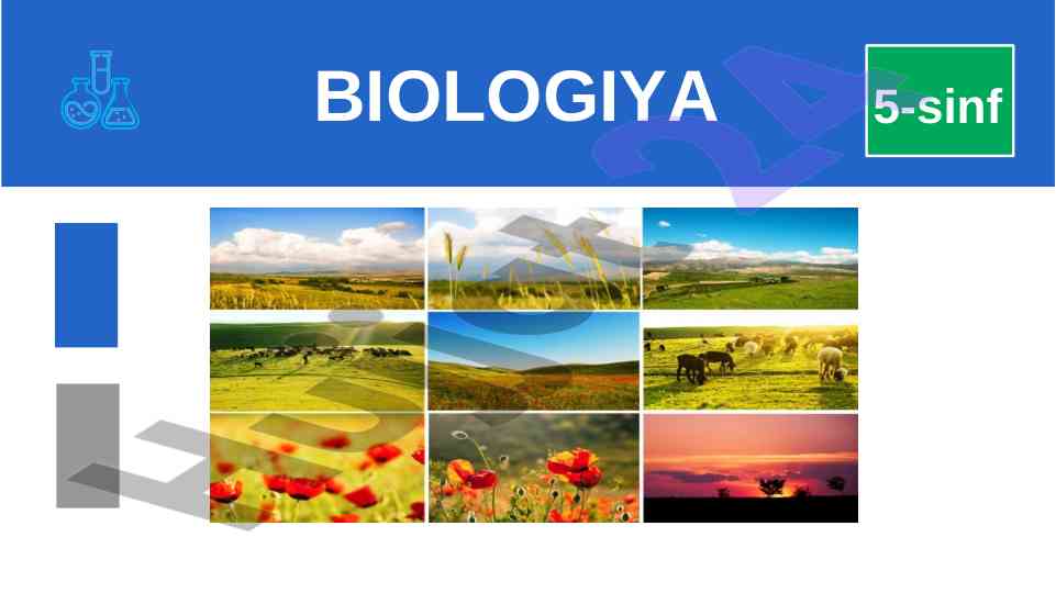 Biologiya laboratoriya mashg‘uloti zamburug‘ bakteriya
