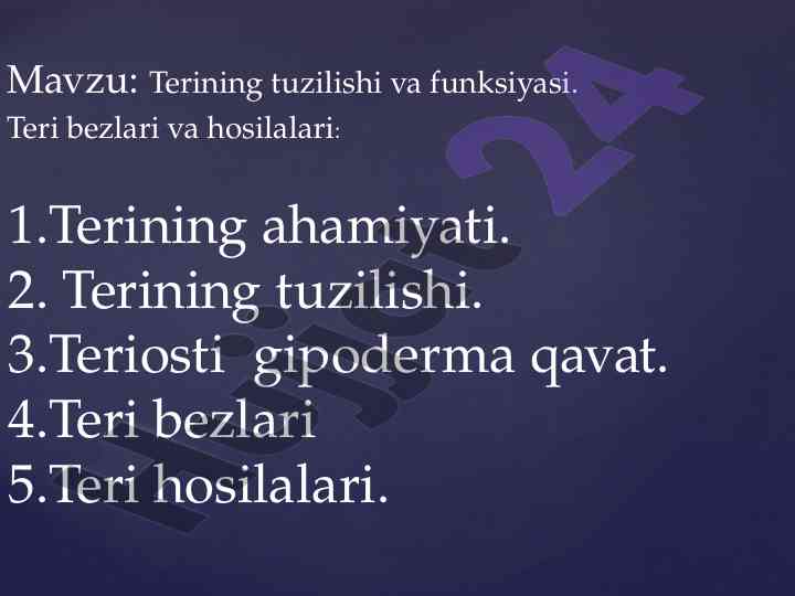 Terining tuzilishi va funktsiyasi