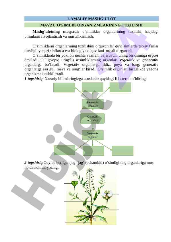 O‘simliklar organlarining tuzilishi bo‘yicha mashg‘ulot