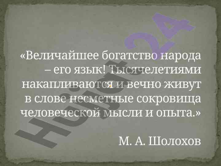 Язык и речь: разнообразие русского языка