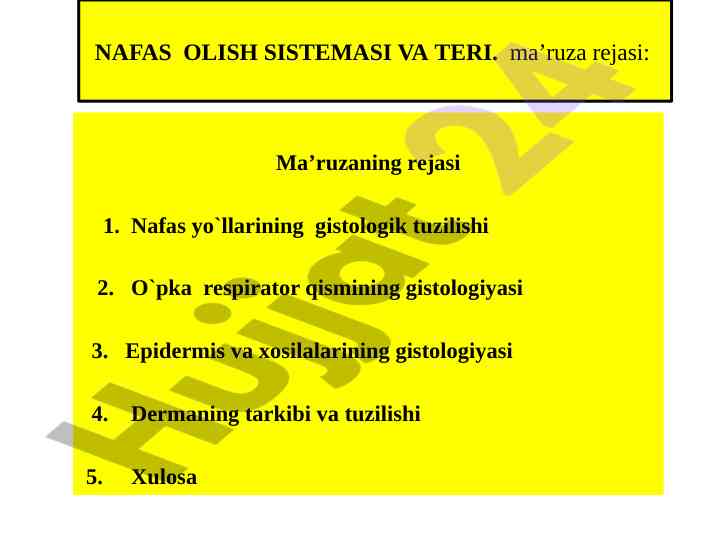 Nafas olish tizimi va teri hakkida ma'ruza