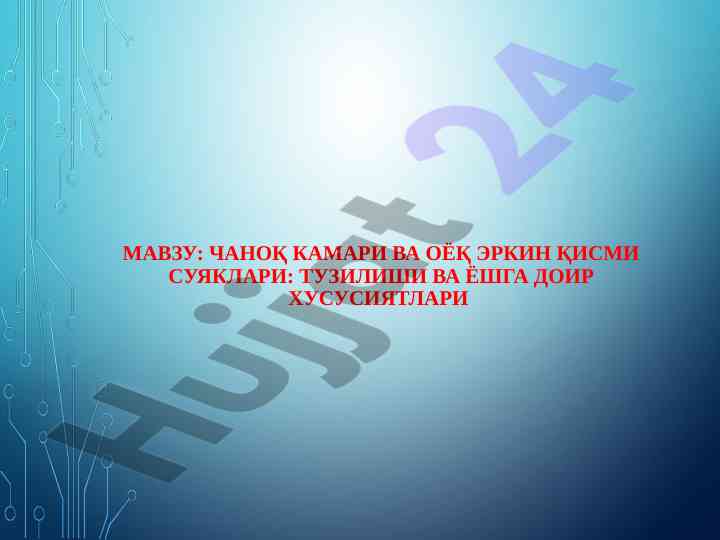 Чаноқ камари вa оёқ эркин қисми суяклари тузилиши