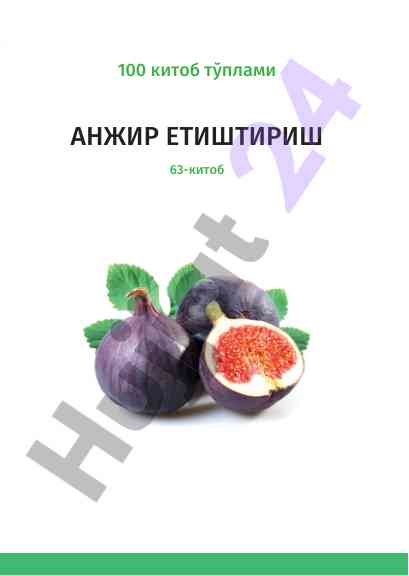 Ажир етиштириш 63-китоб агроривожланиш мақсадлари