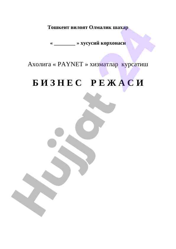 Paynet xizmatlari uchun biznes rejasi