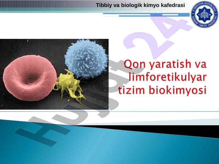 Qon yaralishi va funksiyalari o‘rganilishi