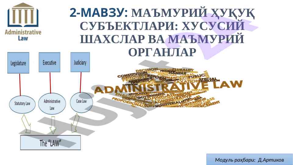 Ma'muriy huquq sub'ektlari haqida tahlil