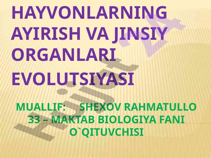 Hayvonlarning ayirish va jinsiy organi evolutsiyasi