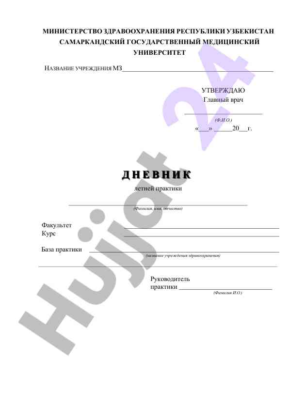 Примерная форма дневника практиканта