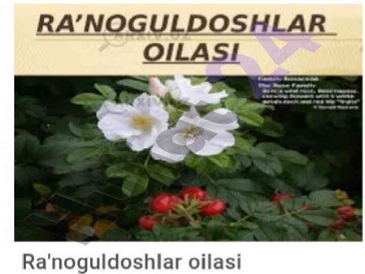 O'tilgan mavzuni takrorlash