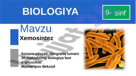 Xemosintez jarayoni va fotosintez tushunchalari