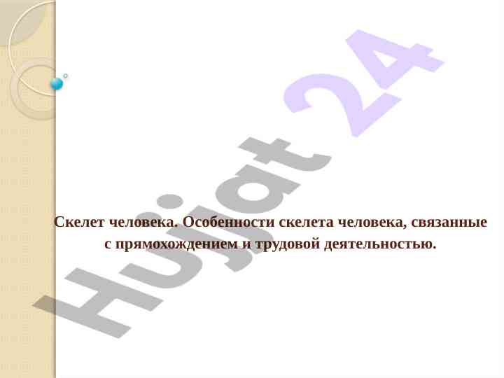 Скелет человека и его особенности в трудовой деятельности