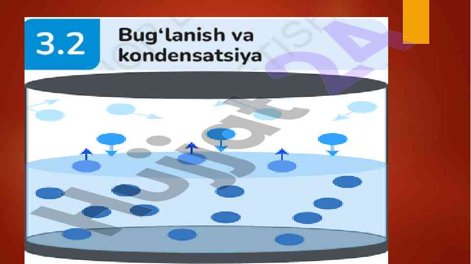 Topshiriqlarni o'qish va amalga oshirishi