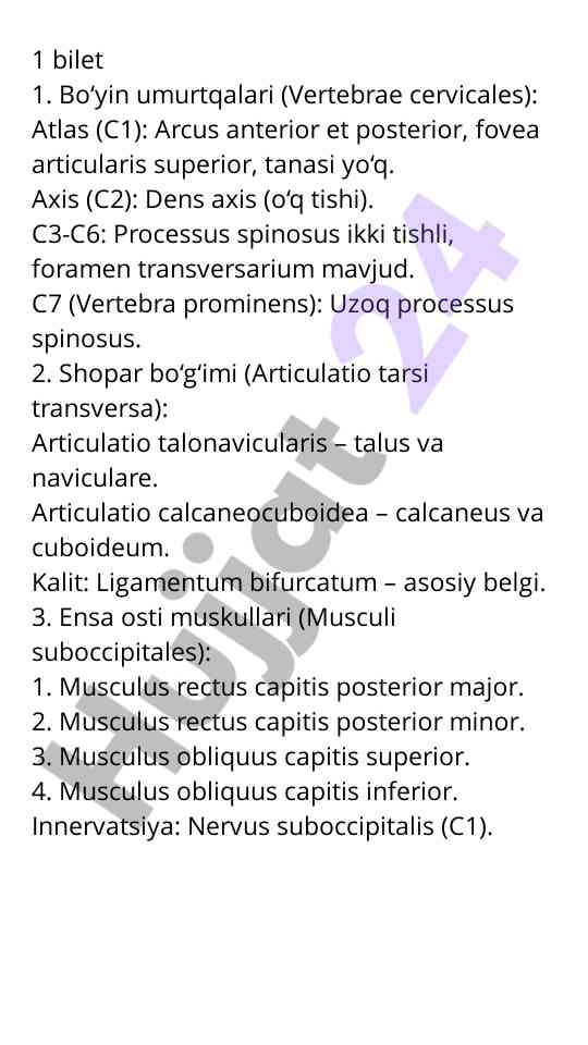 Skeletal system and joint anatomy overview