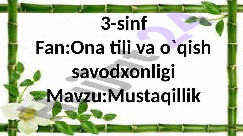 Mustaqillik mavzusi bo‘yicha o‘qish savodxonligi