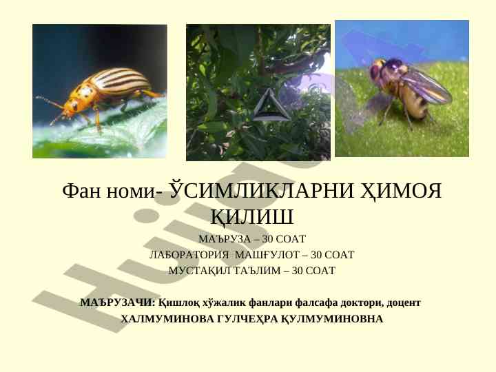 Ўсимликларни ҳимоят қилиш бўйича лаборатория машғулотлари