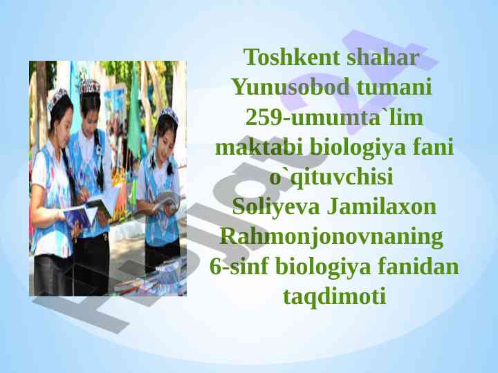 Gullarning changlanishi haqida taqdimot