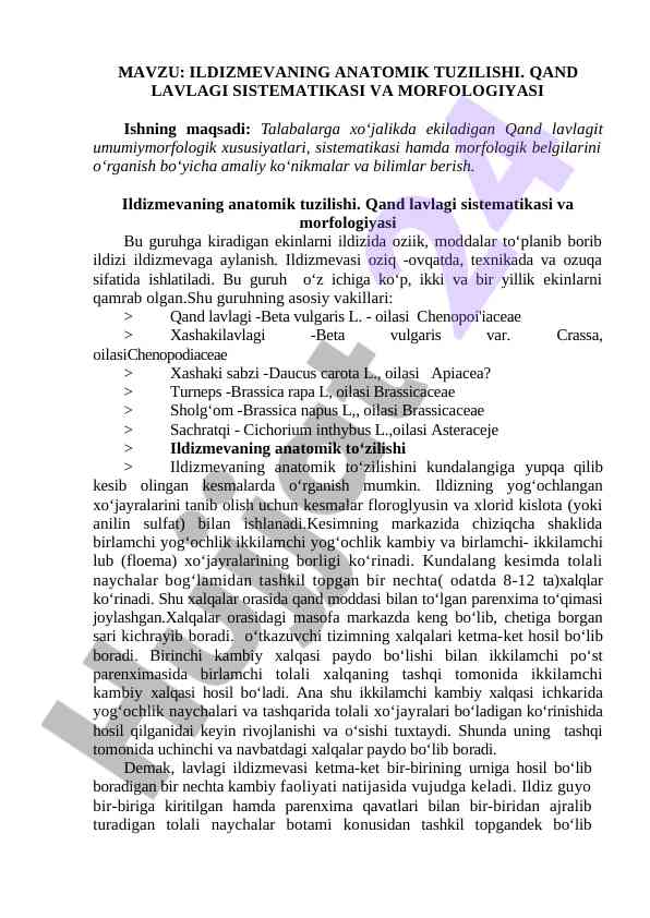 Ildizmevaning anatomik tuzilishi va qand lavlagi