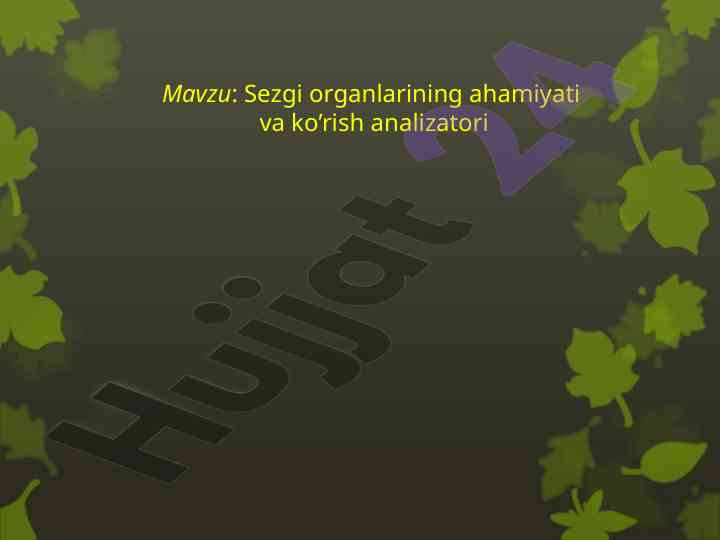 Sezgi organlarining ahamiyati va ko’rish analizatori