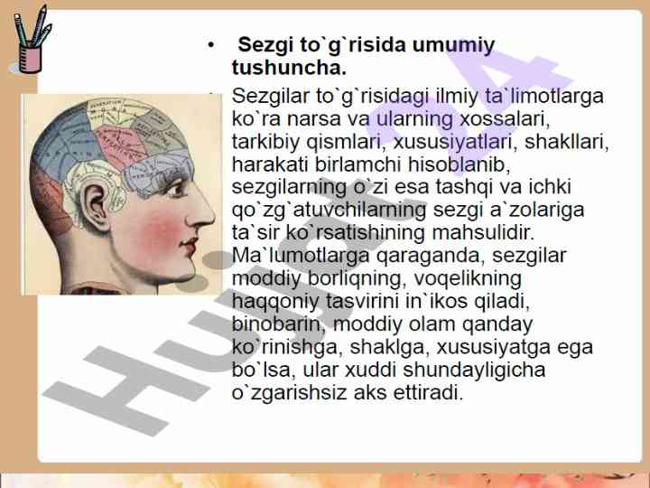 Sezgi a'zolari va ularning xususiyatlari