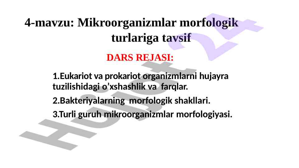 Mikroorganizmlar morfologiyasi va taqqoslash