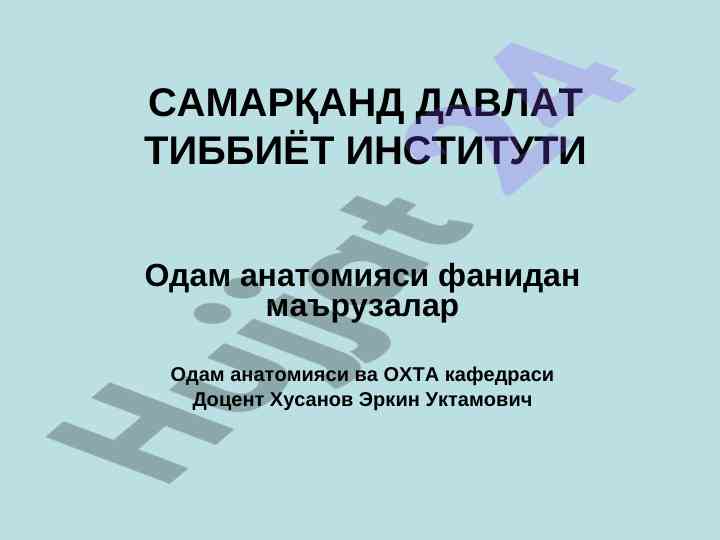 Ички аъзолар тўғрисида умумий тушунча маъруза