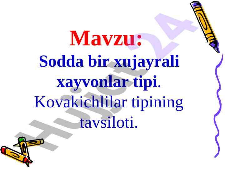 Sodda bir xujayrali xayvonlar tipi