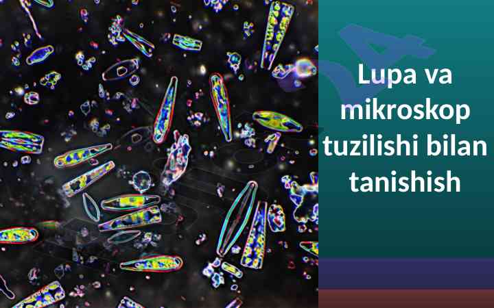 Lupa va mikroskop tuzilishi bilan tanishish