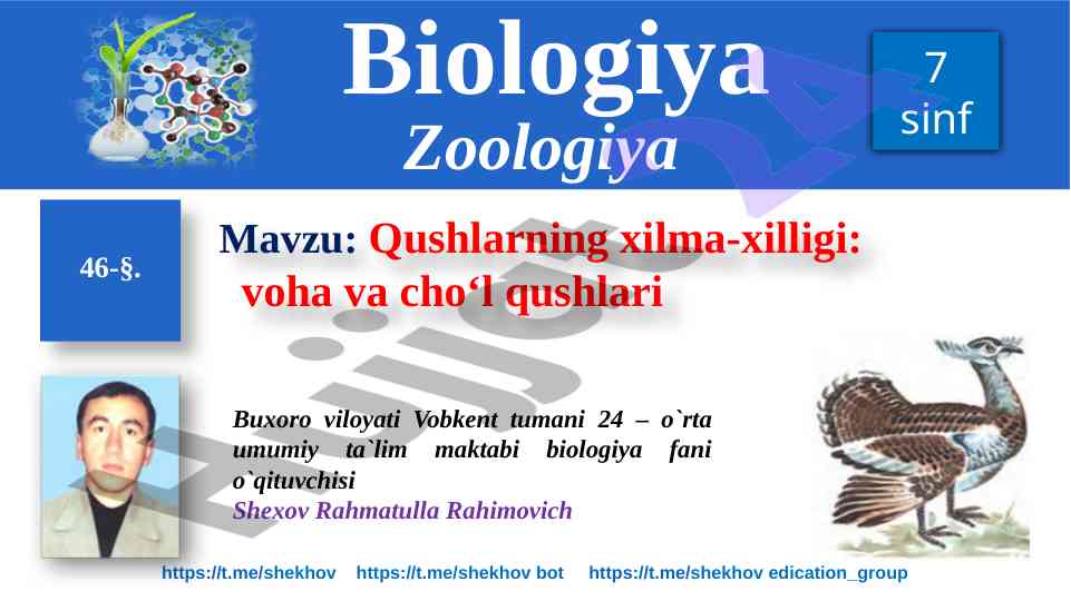 Qushlarning xilma-xilligi: vohalar va cho‘l qushlari