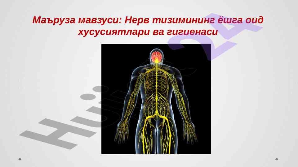 Нерв тизимининг ёшга оид хусусиятлари ва гигиенаси