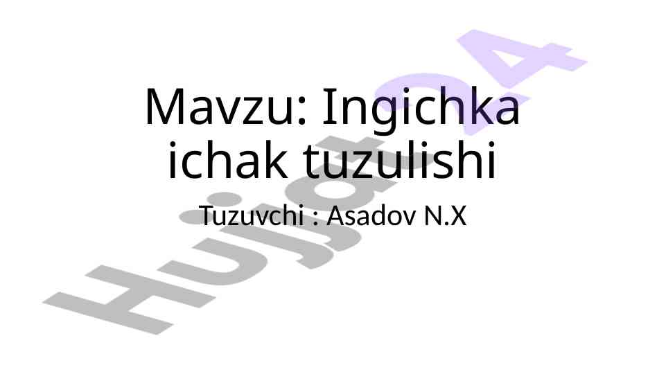 Ingichka ichak tuzilishi haqida ma'lumot