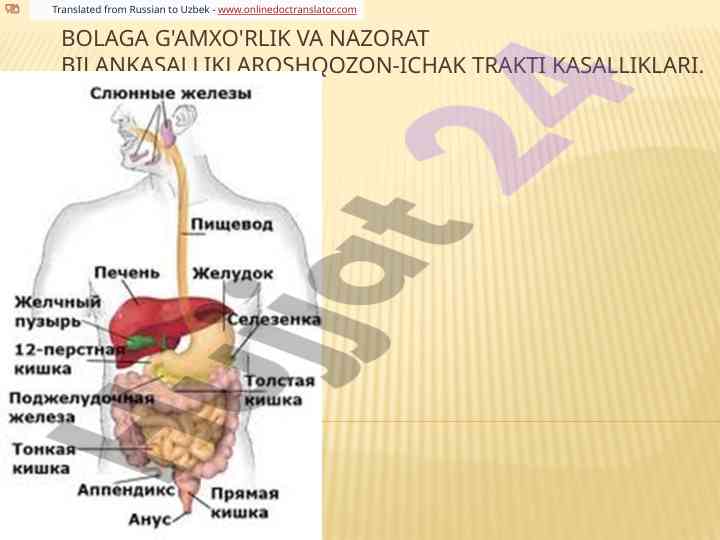 Bolalarga oshqozon-ichak trakti kasalliklari bilan g'amxo'rlik