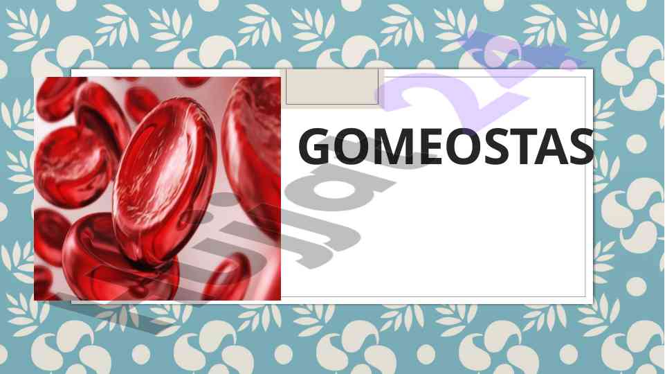 Gomeostaz mavzusi va qon tizimi asoslari