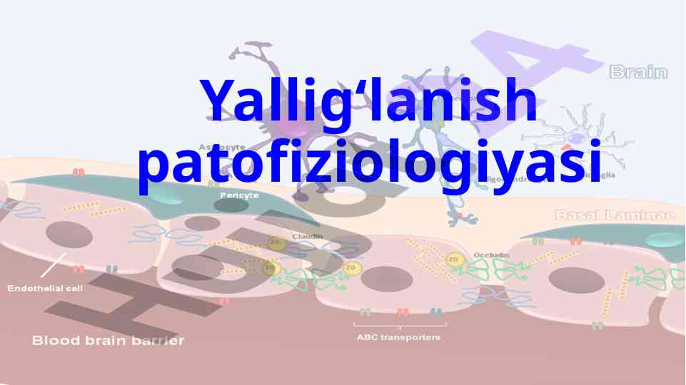 Yallig‘lanish patofiziologiyasi tarixi va asoslari