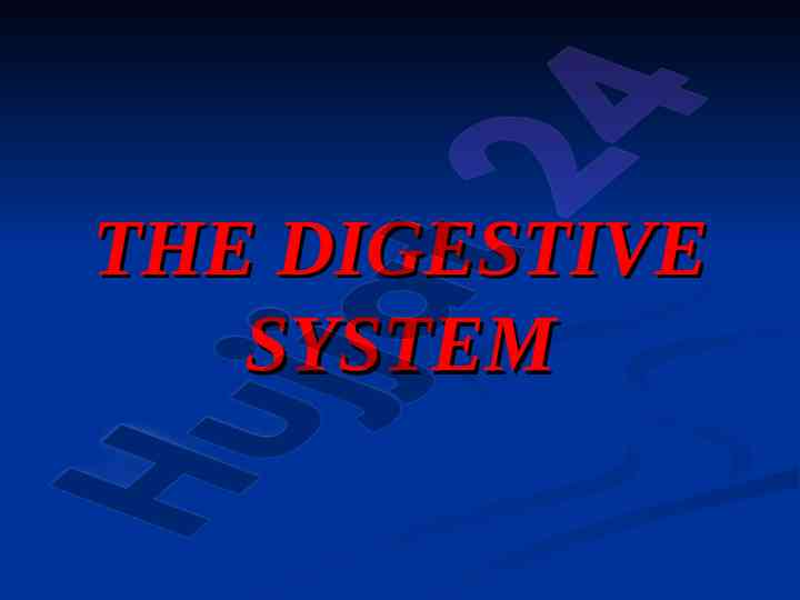 Understanding the human digestive system anatomy