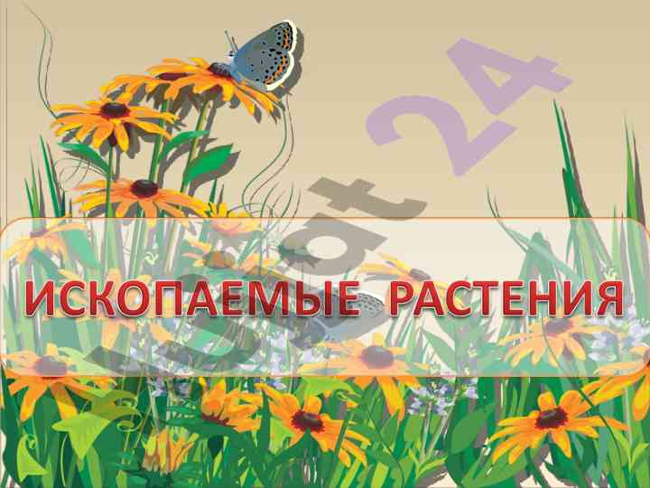 Iскопаемые растения в осадочных горных породах