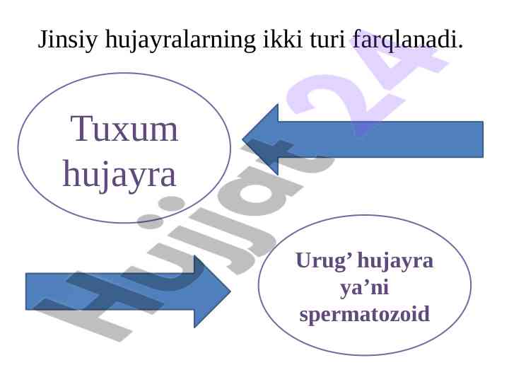 Uy qurilishi rus uchlik jinsiy aloqa