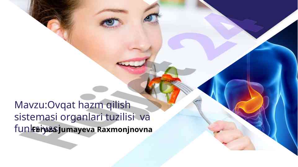 Ovqat hazm qilish sistemasi tuzilishi va funksiyasi