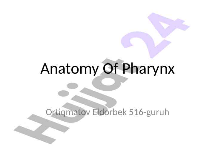 Anatomy of pharynx functions and structures