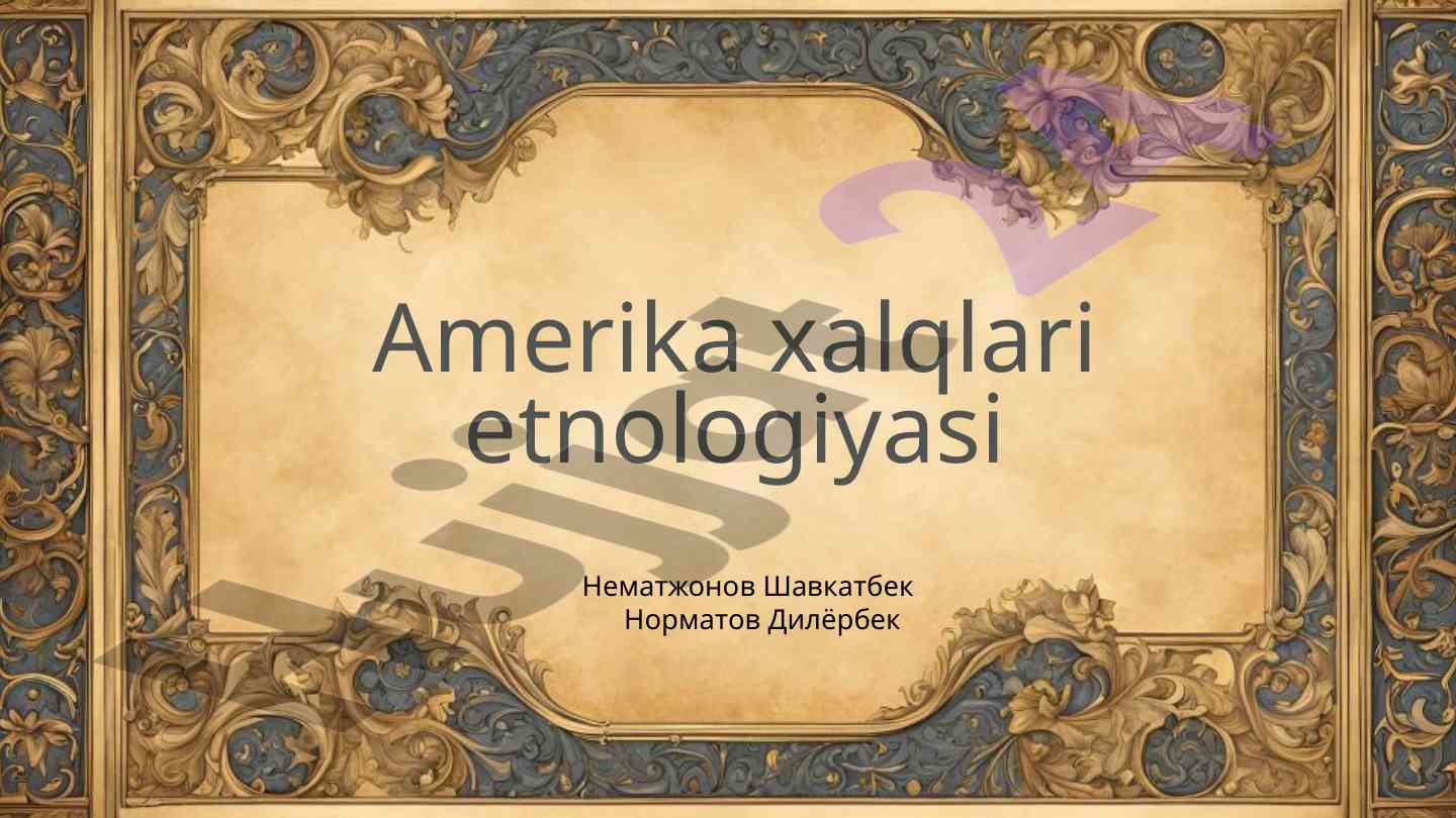 Amerika xalqlari etnologiyasi va madaniy xususiyatlari