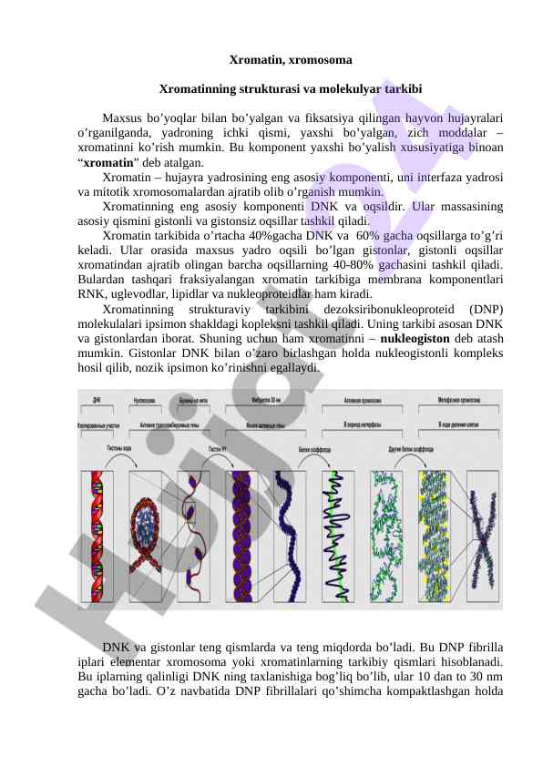Xromatin va xromosoma strukturasi haqida ma'lumotlar