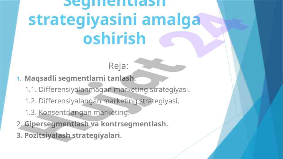Segmentlash strategiyasini amalda qo'llash reja