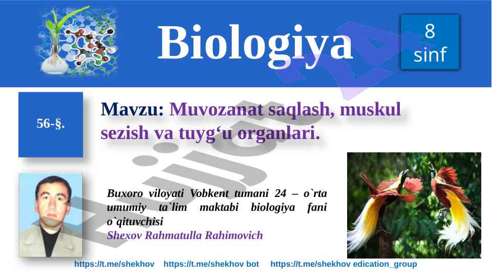 Muvokaza saqlash muskul sezish va tuyg'u organlari