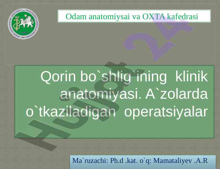 Qorin bo'shlig'ining klinik anatomiyasi